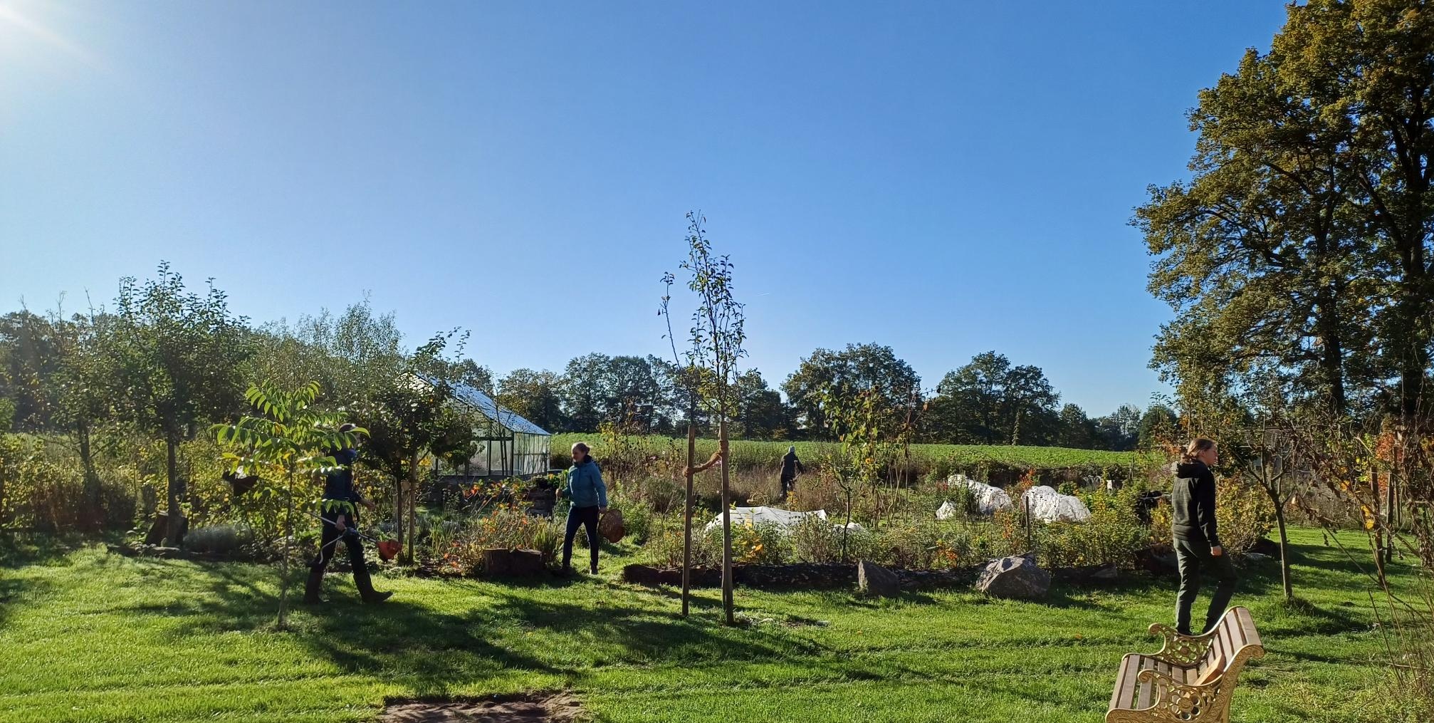 Mitgestalten und unterstützen