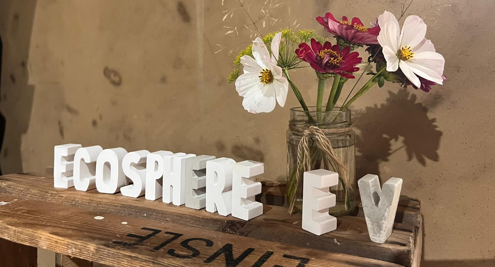 Verein Ecosphere e. V.