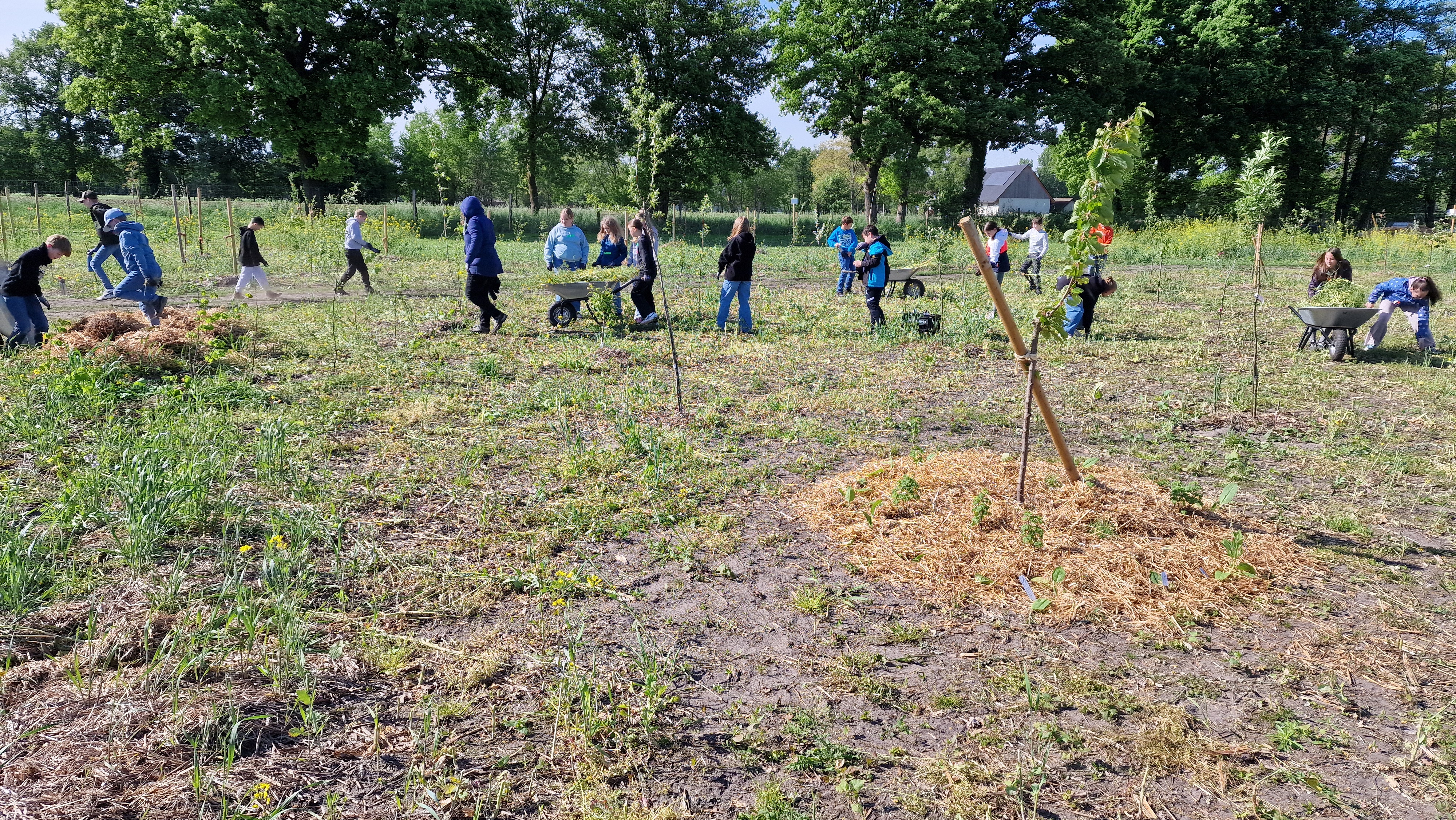 Bildungscamp in der Ecosphere