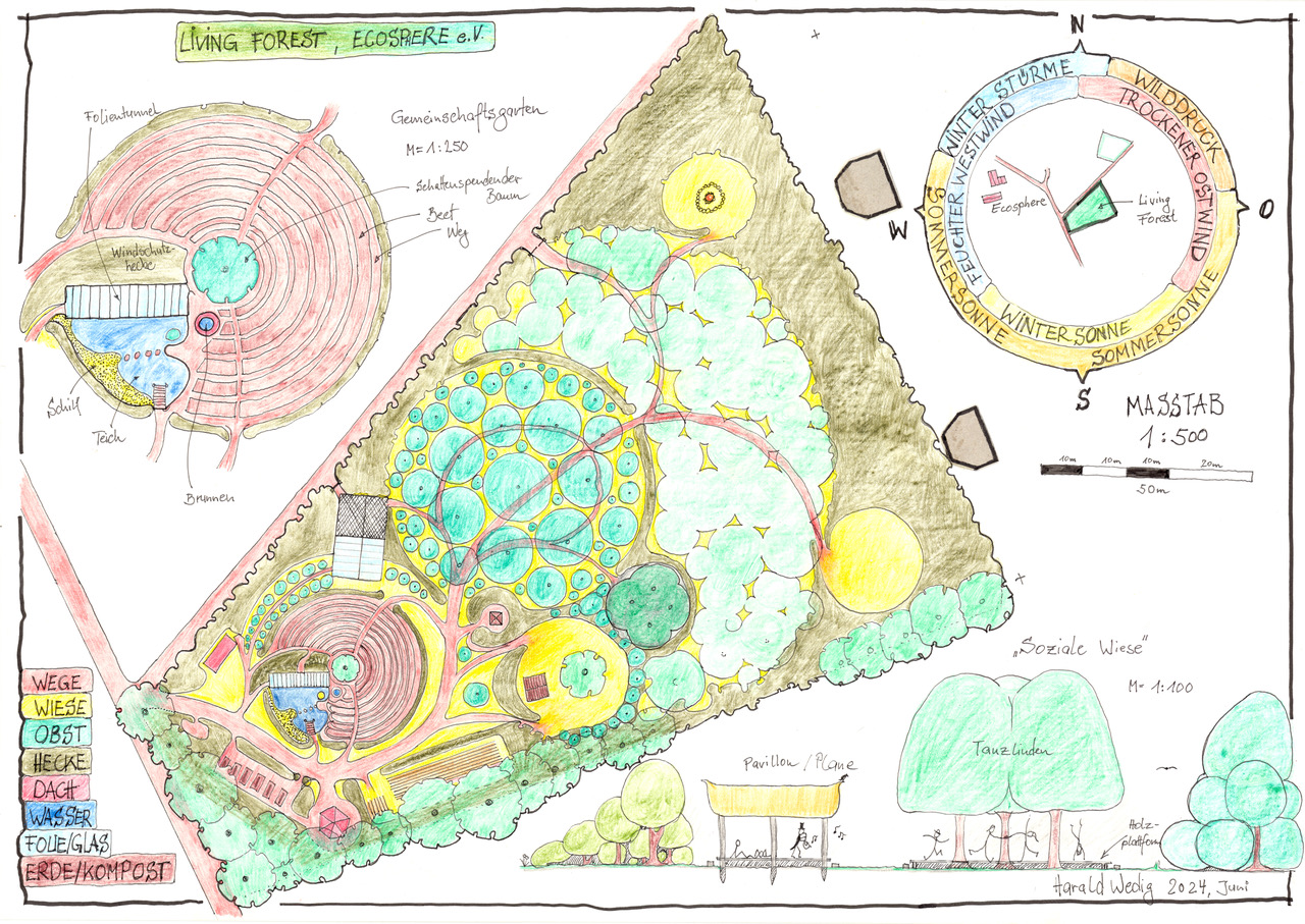 Living Forest Design